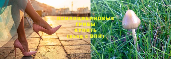 гидропоника Абаза